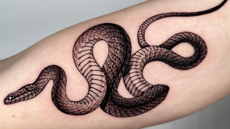 Outline Snake And Flower Tattoo Designs